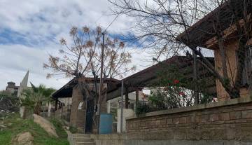 WhatsApp Image 2026-02-09 at 2.12.11 PM 2.jpeg